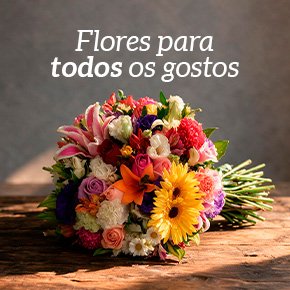 Tipos-de-Flores